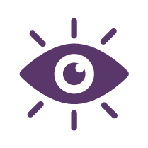 An eye icon representing Vison