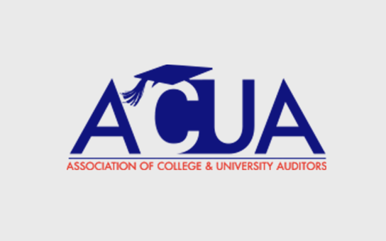 Bostrom Selected by Association of College & University Auditors for Management